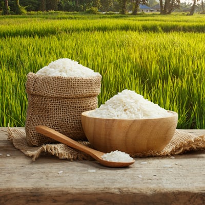 rice supplier india