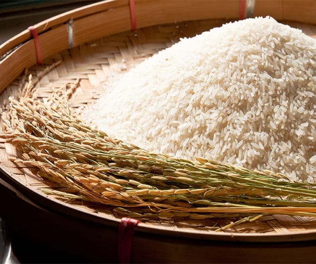 top parmal rice exporters india