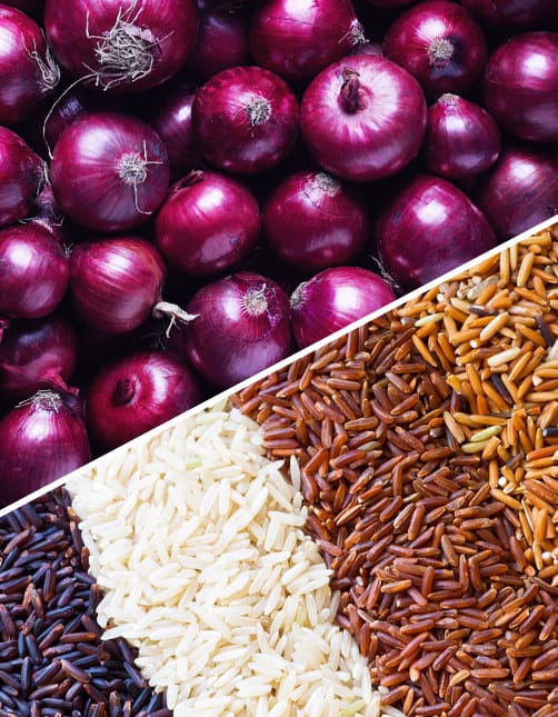 Red Onion and Rice Supplier India