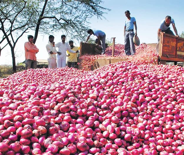 Red Onion Exporter India