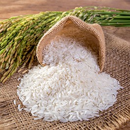 basmati rice supplier india